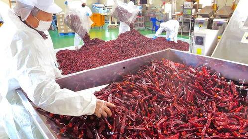 肉串加工厂爆料视频播放,揭秘现代食品加工黑幕